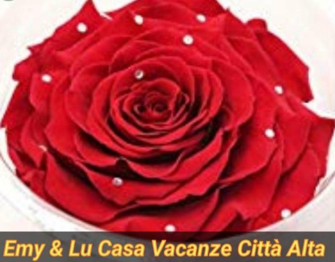 Emy & Lu Casa Vacanza Citta' Alta Bérgamo Exterior foto